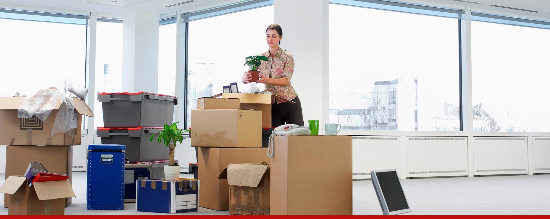 Office Removals